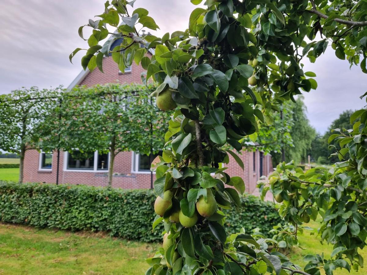 De Schotse Hooglander Smilde Exterior foto
