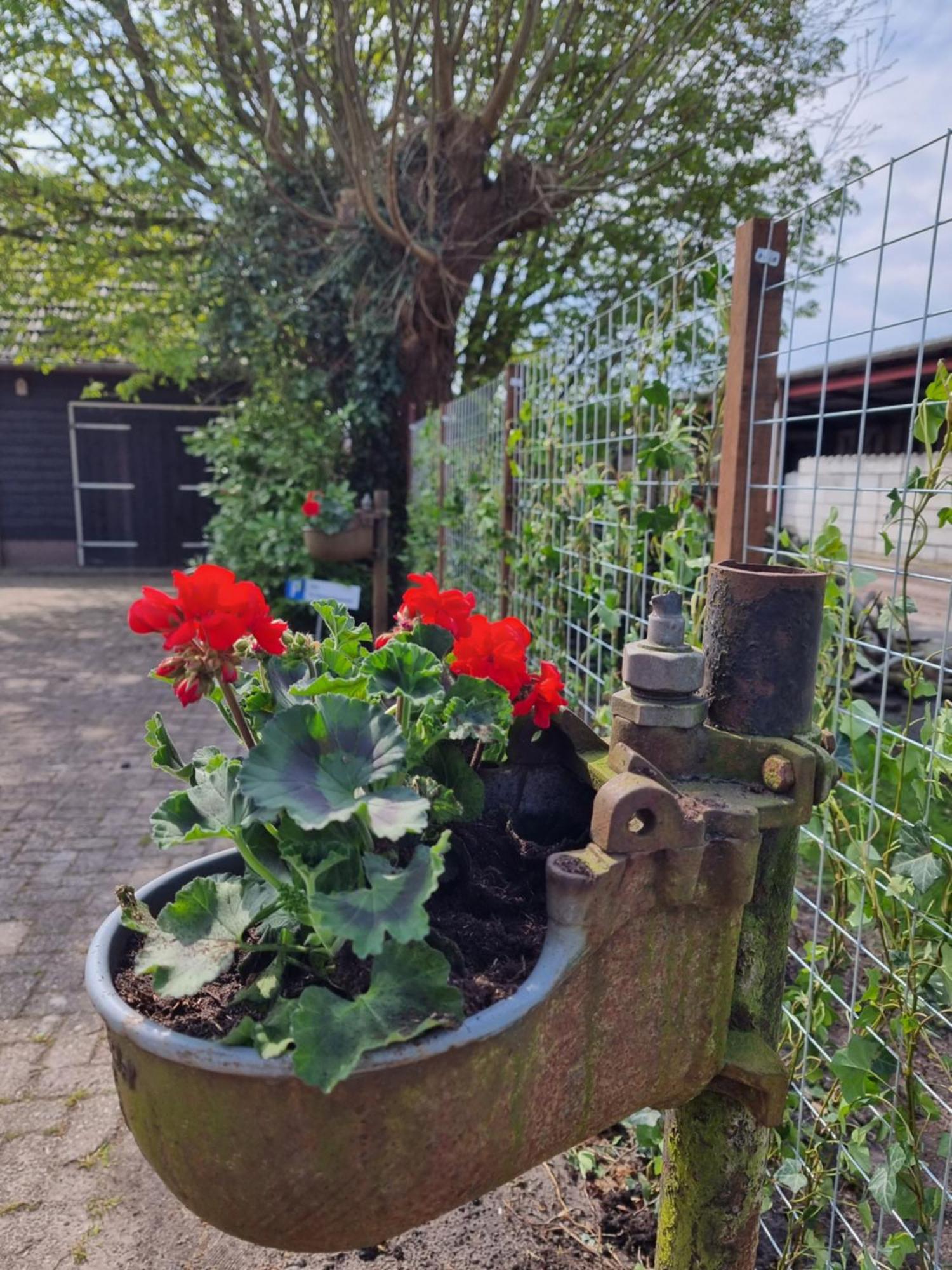 De Schotse Hooglander Smilde Exterior foto