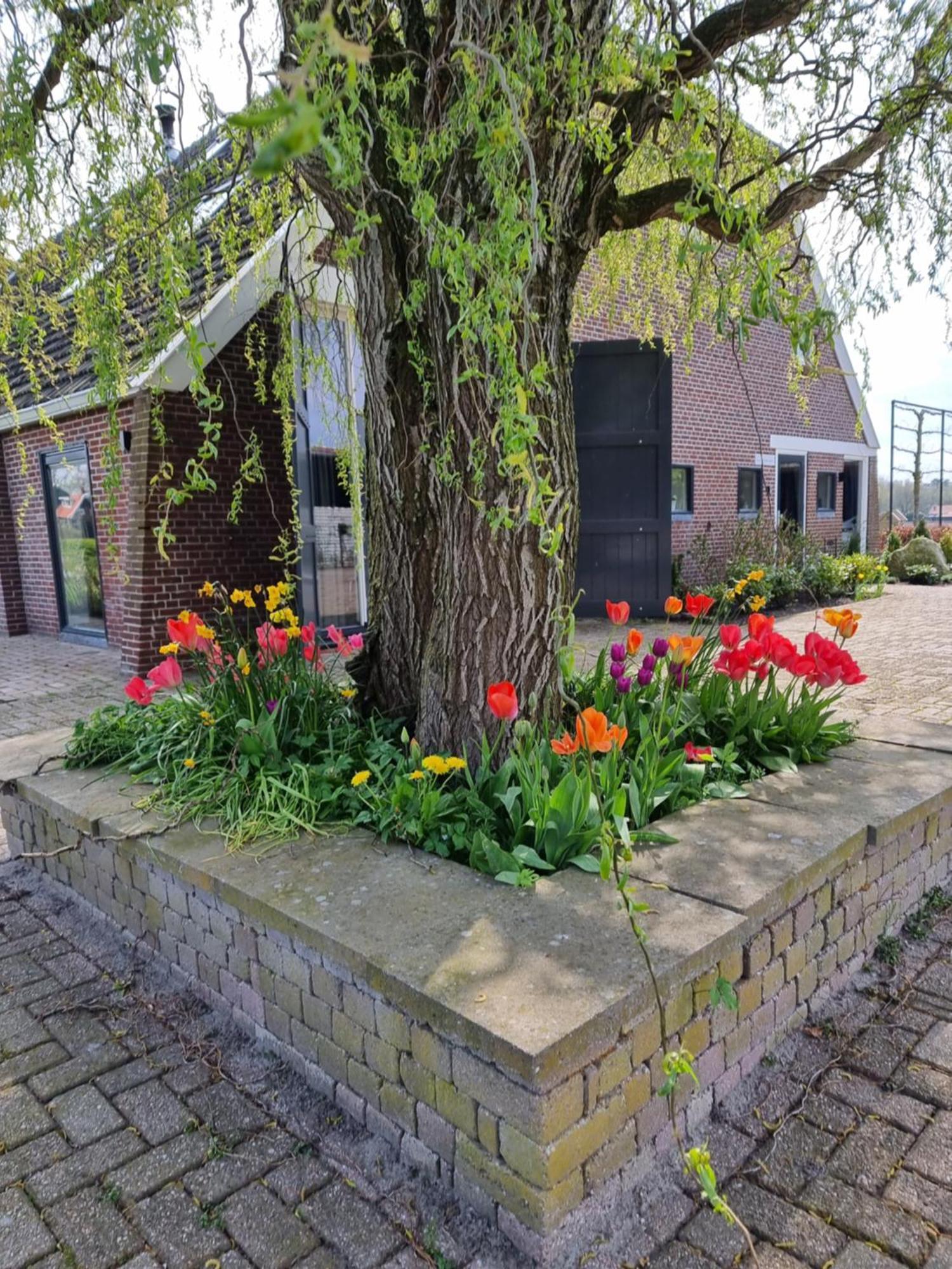 De Schotse Hooglander Smilde Exterior foto